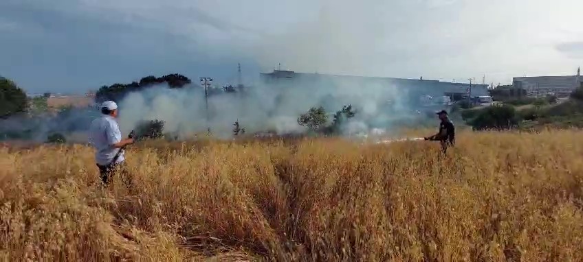 Gebze'de Yulaf Tarlasında Çıkan Yangın Söndürüldü