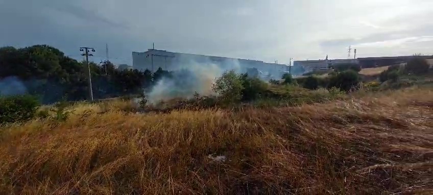 Gebze'de Yulaf Tarlasında Çıkan Yangın Söndürüldü