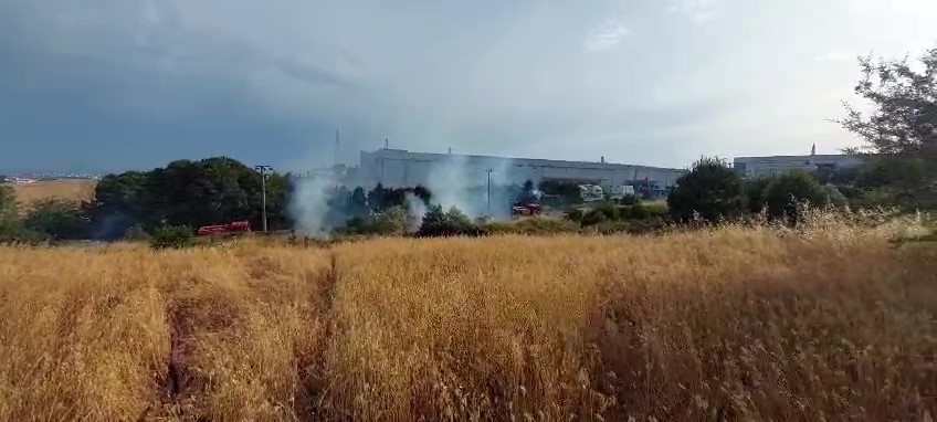 Gebze'de Yulaf Tarlasında Çıkan Yangın Söndürüldü