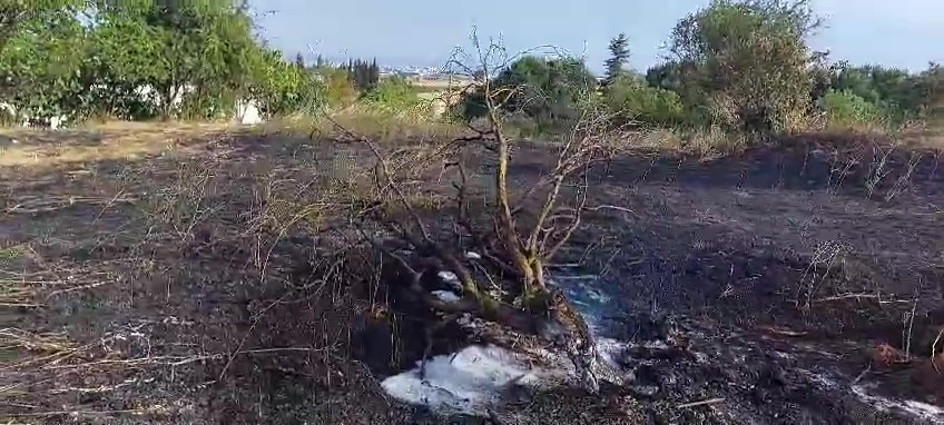 Gebze'de Yulaf Tarlasında Çıkan Yangın Söndürüldü