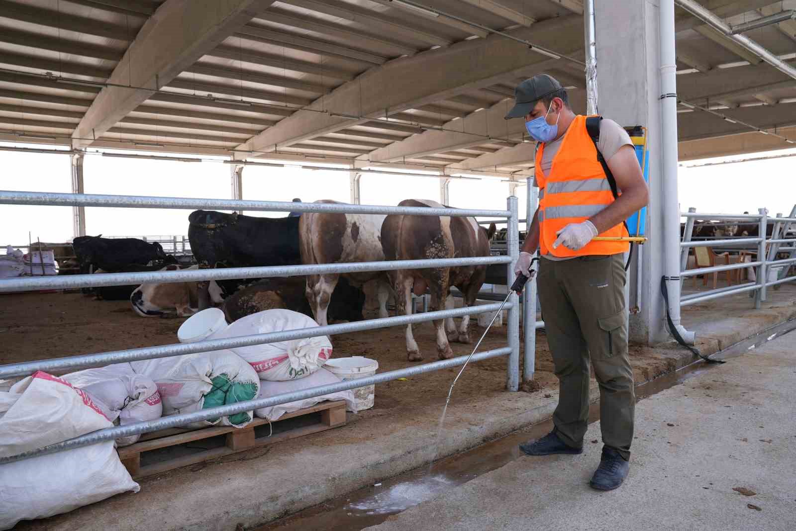 Kurban Satış ve Kesim Merkezi’nin Özellikleri