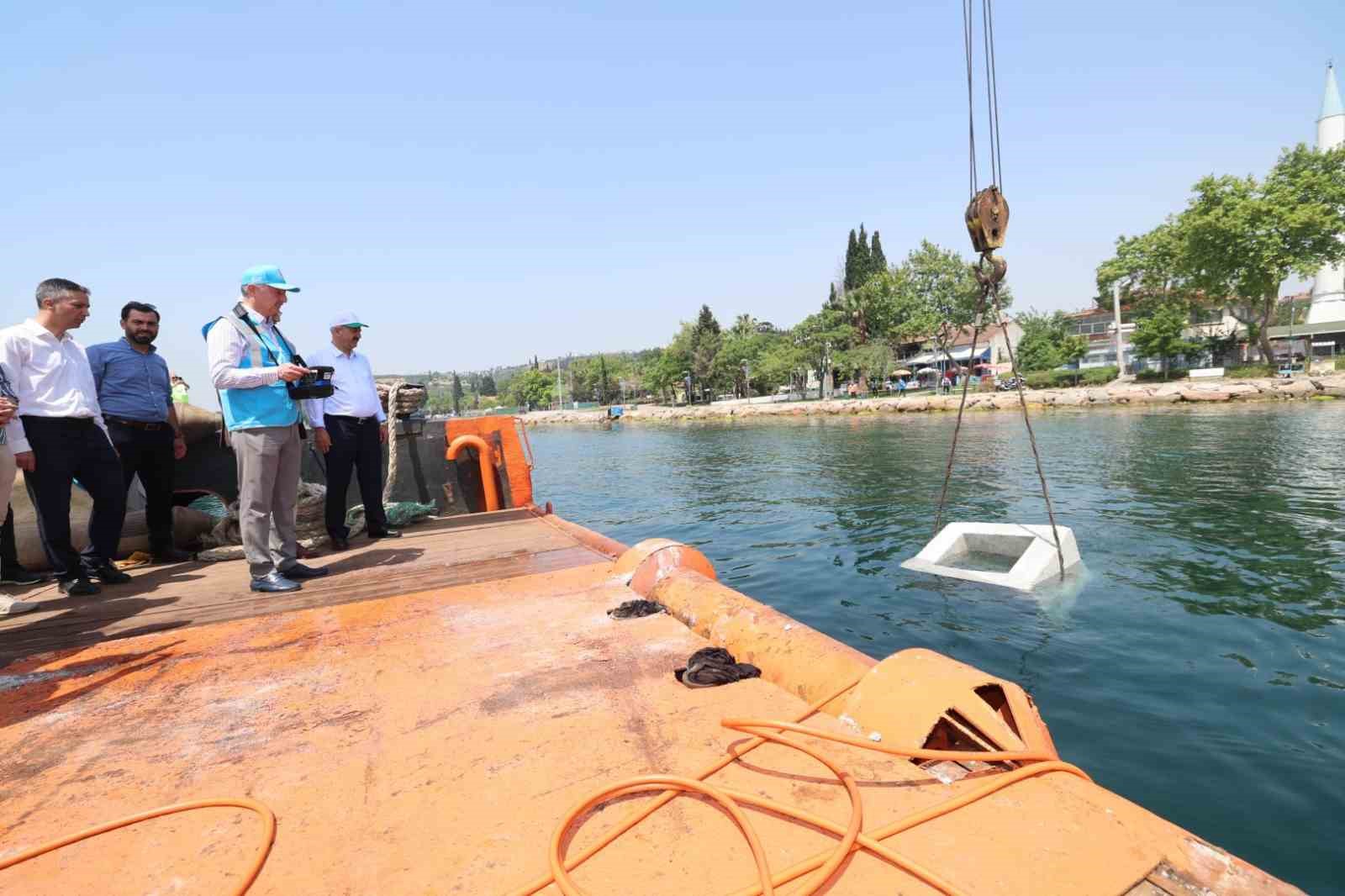 Deniz Ekosistemini Güçlendirmek İçin Çalışmalar Sürüyor